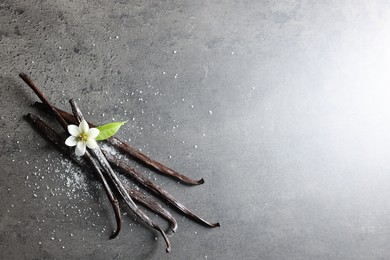 Vanilla pods, leaf and flower on grey textured table, top view. Space for text