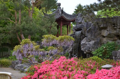 Photo of HAREN, NETHERLANDS - MAY 23, 2022: Beautiful view of different plants and oriental gazebo in Chinese garden