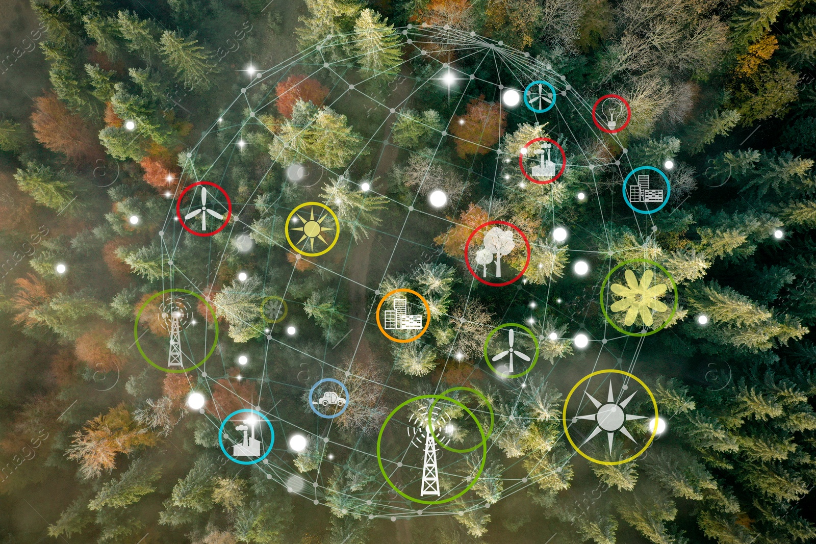 Image of Digital icons of sustainable development goals and view of beautiful forest