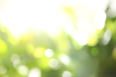 Photo of Abstract nature green background with sun rays, bokeh effect