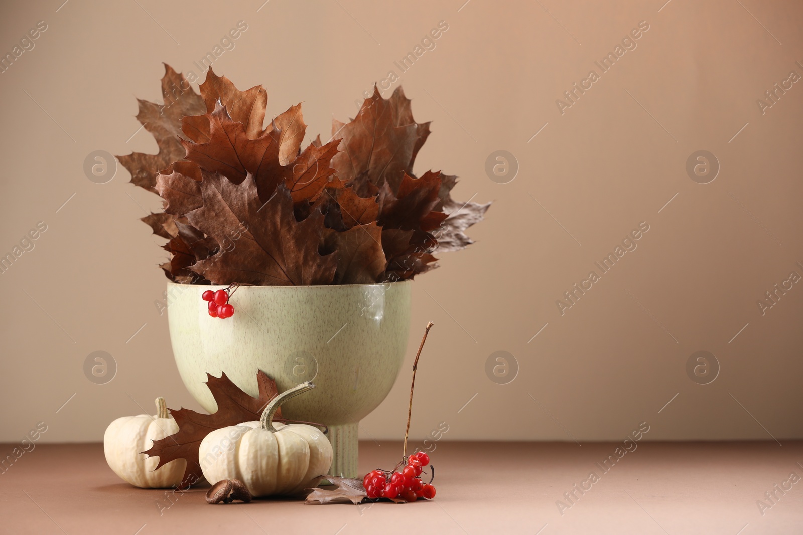 Photo of Composition with beautiful autumn leaves, berries and pumpkins on table against beige background, space for text