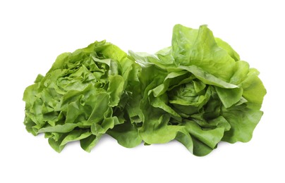 Photo of Fresh green butter lettuce heads isolated on white