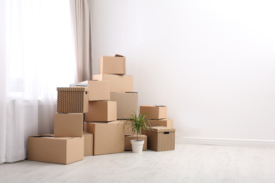 Photo of Moving boxes and potted plant in empty room, space for text