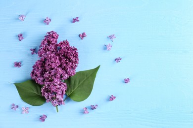 Photo of Beautiful lilac flowers on light blue wooden table, flat lay. Space for text