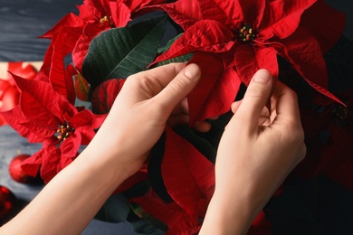 Woman with poinsettia (traditional Christmas flower) at wooden table, closeup