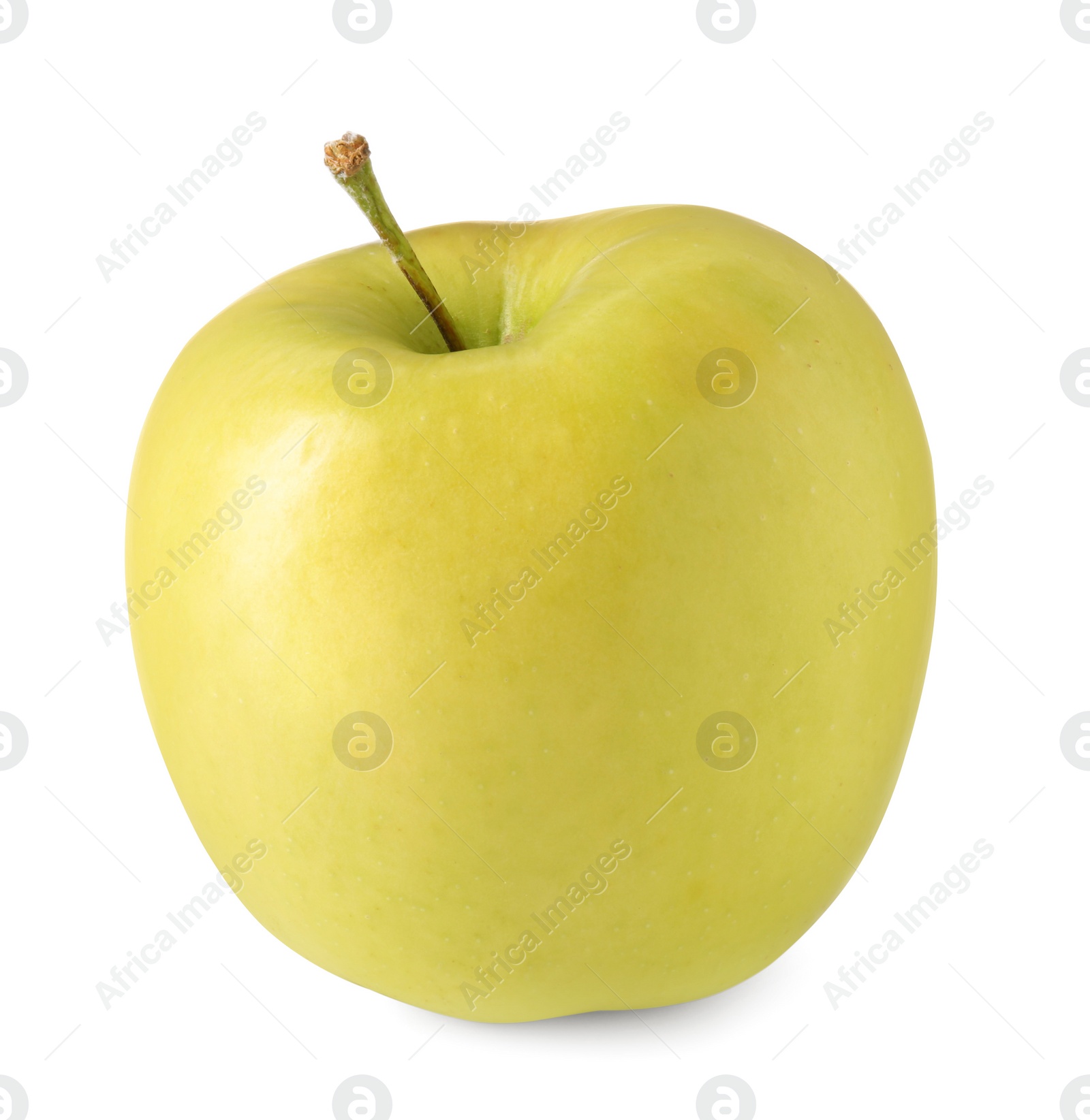 Photo of One ripe green apple isolated on white