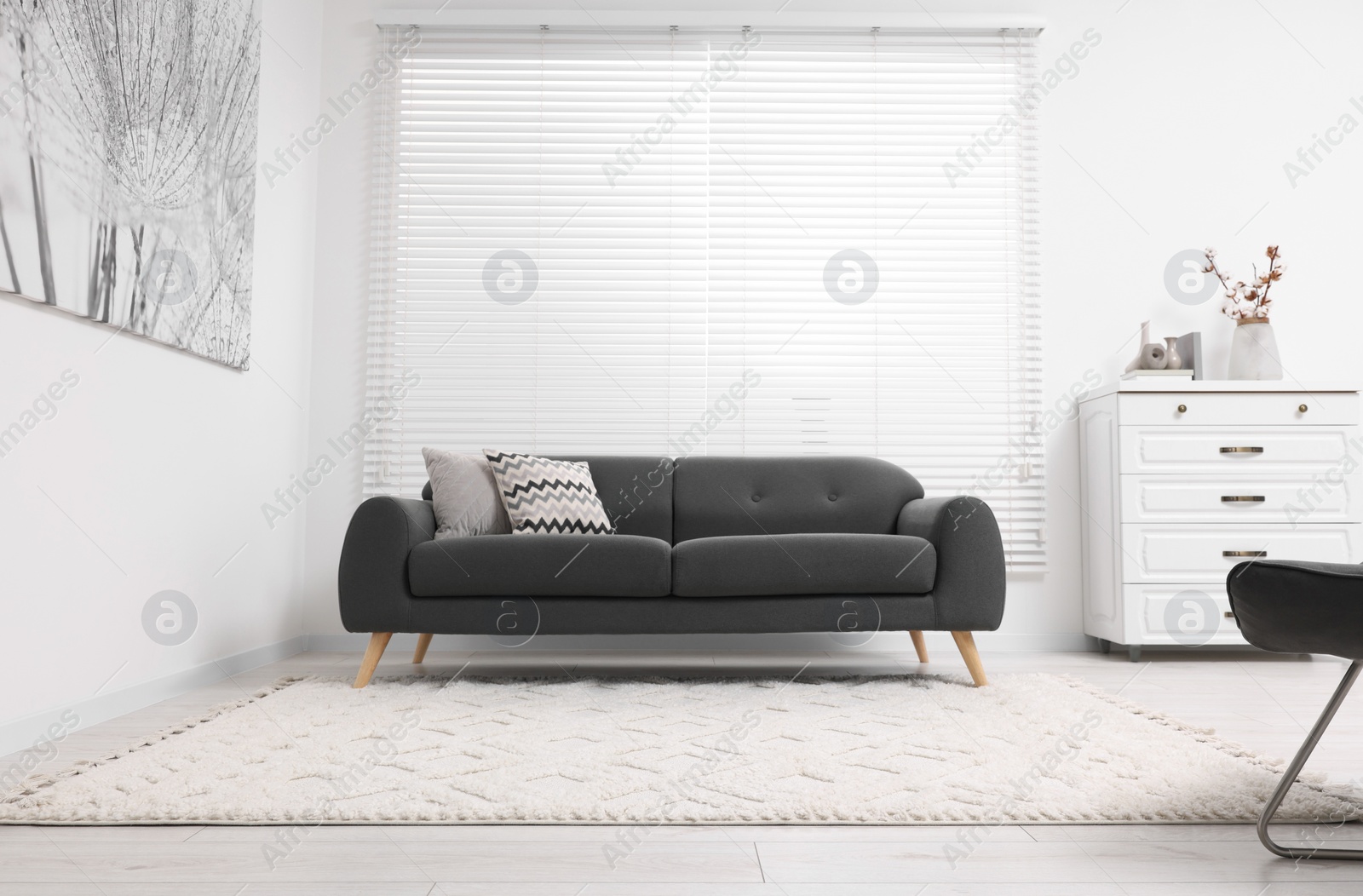 Photo of Living room with soft carpet and stylish sofa. Modern interior