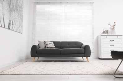 Living room with soft carpet and stylish sofa. Modern interior