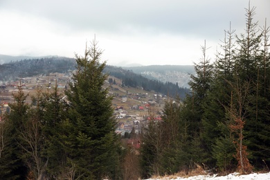 Photo of Green firs near small village on hill. Beautiful winter landscape
