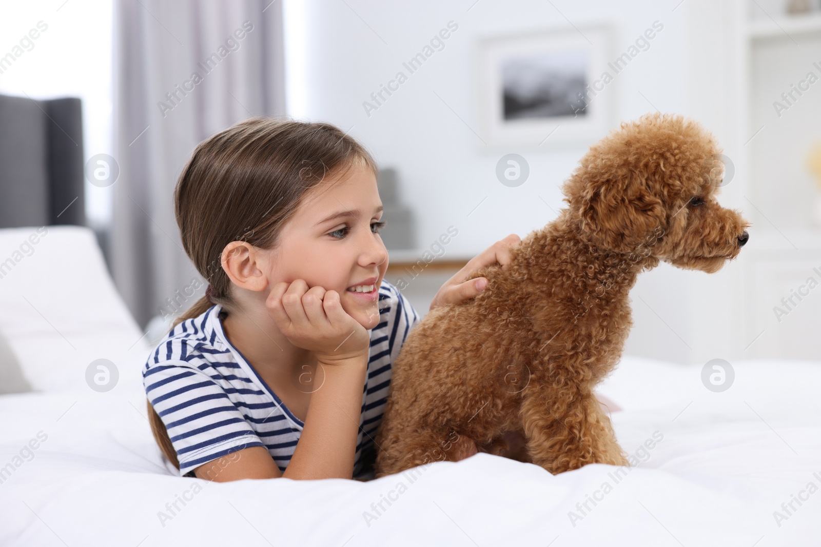 Photo of Little child and cute puppy on bed at home. Lovely pet