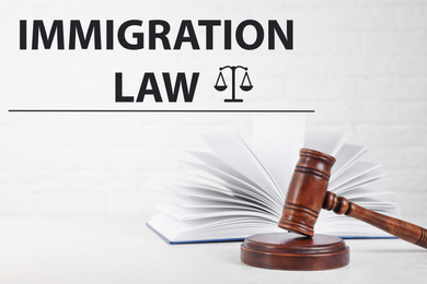 Image of Judge's gavel, book and words IMMIGRATION LAW on white background