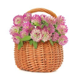 Photo of Beautiful blooming clover flowers in wicker basket isolated on white