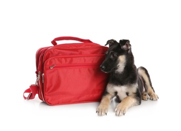 Cute puppy with first aid kit on white background