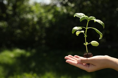 Woman holding beautiful seedling against blurred background, closeup. Space for text