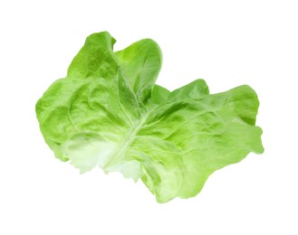 Photo of Fresh leaf of green butter lettuce isolated on white