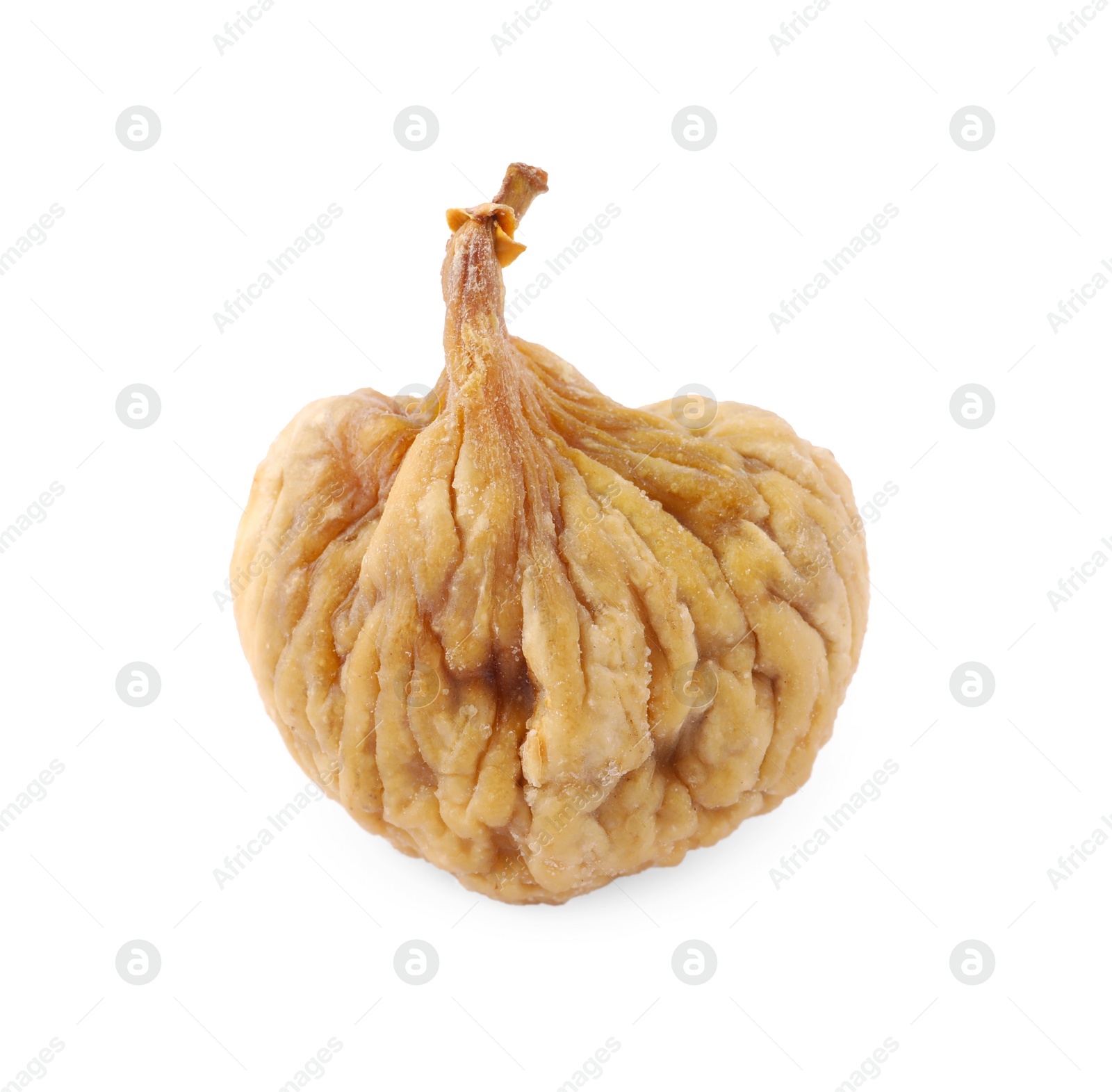 Photo of One tasty dried fig isolated on white