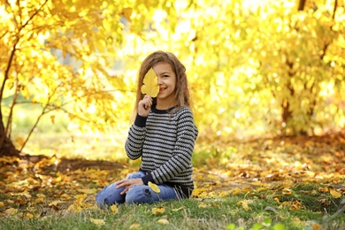 Photo of Cute little girl with leaf in park. Autumn walk