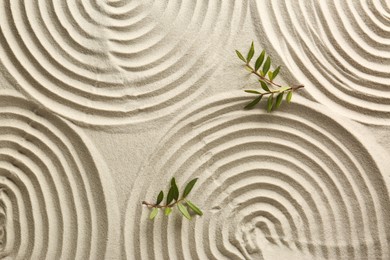 Photo of Beautiful spirals and branches on sand, flat lay. Zen garden