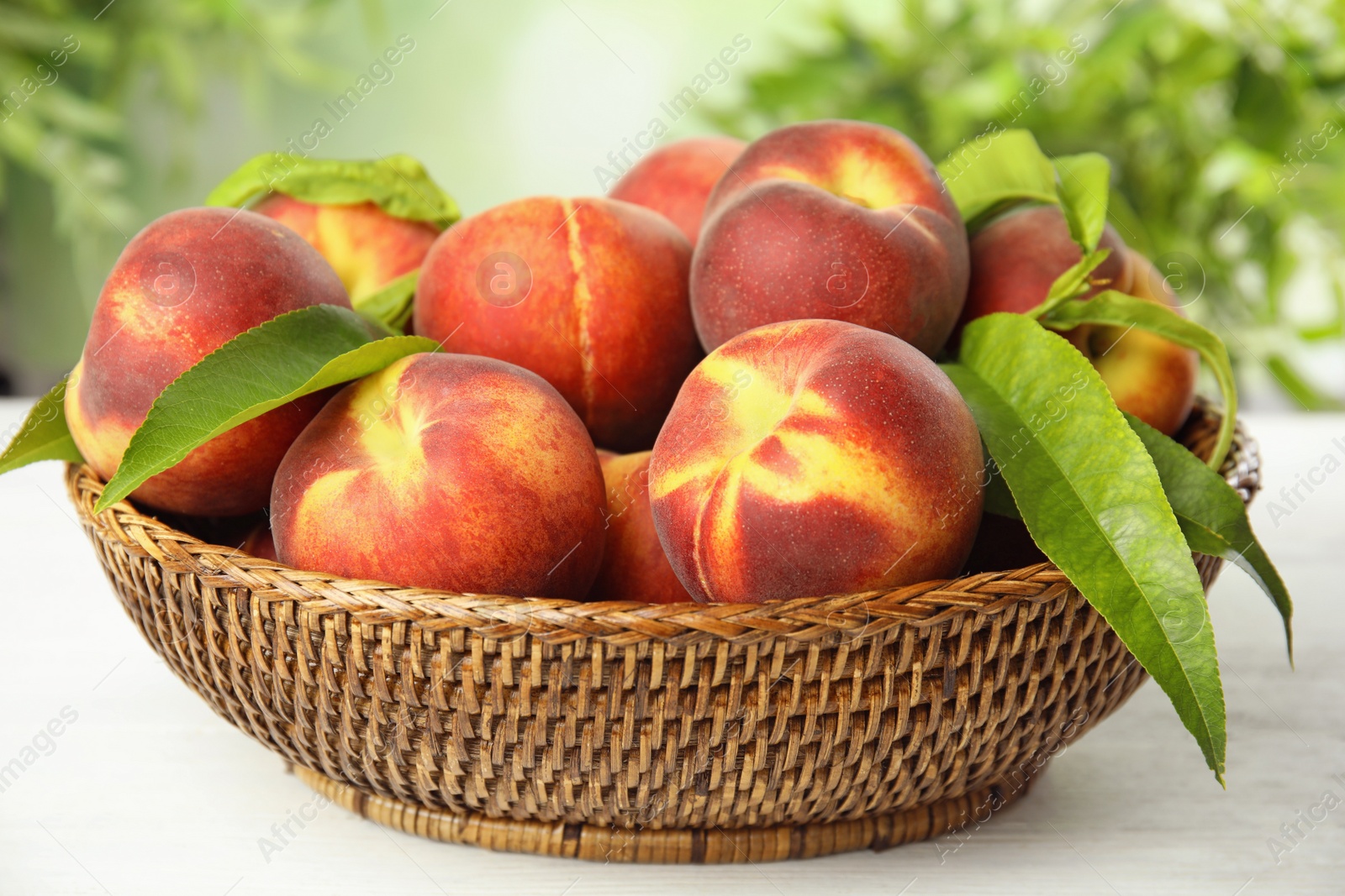 Photo of Wicker bowl with tasty peaches on white wooden table against blurred green background