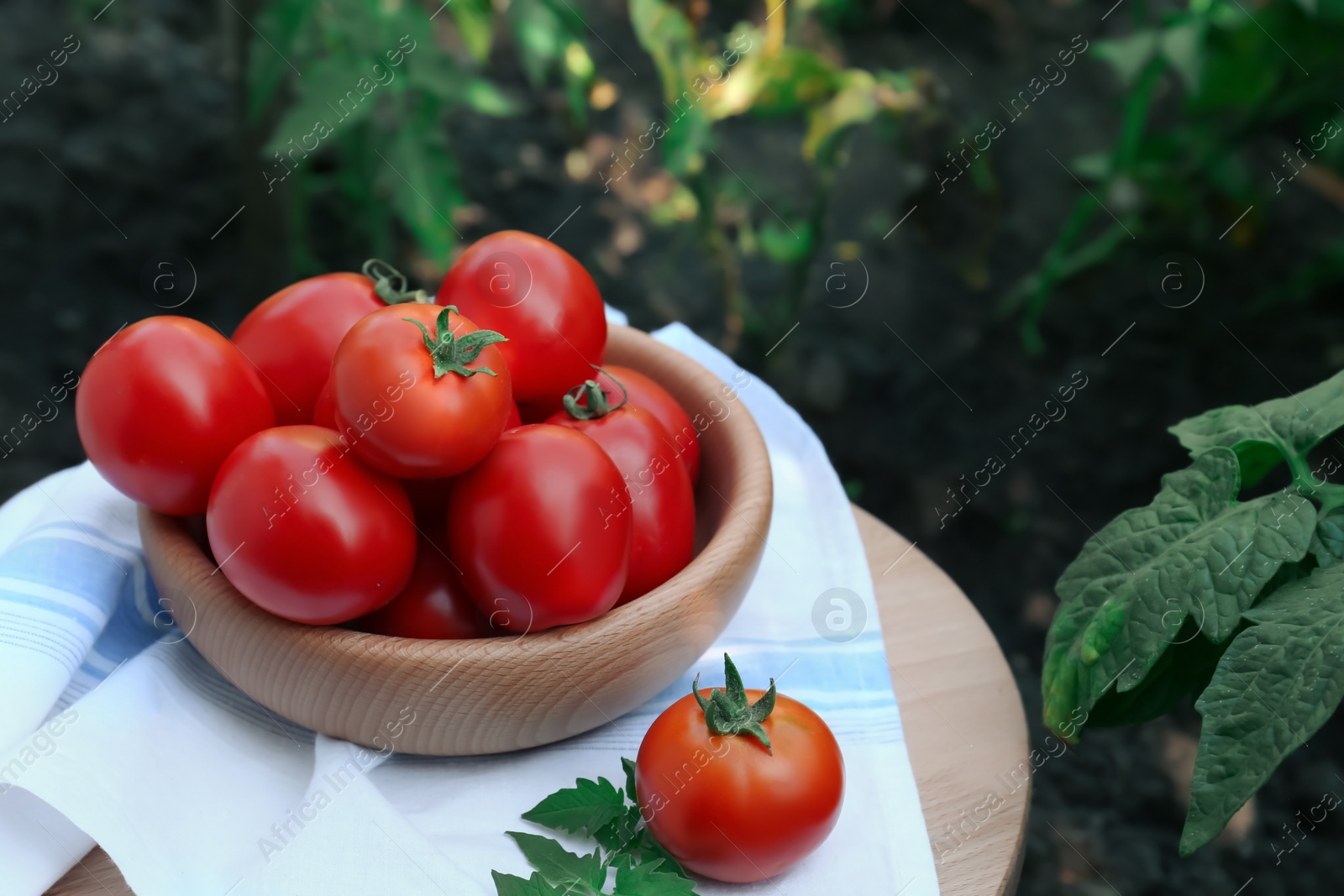 Photo of Bowl and fresh tomatoes on wooden table outdoors