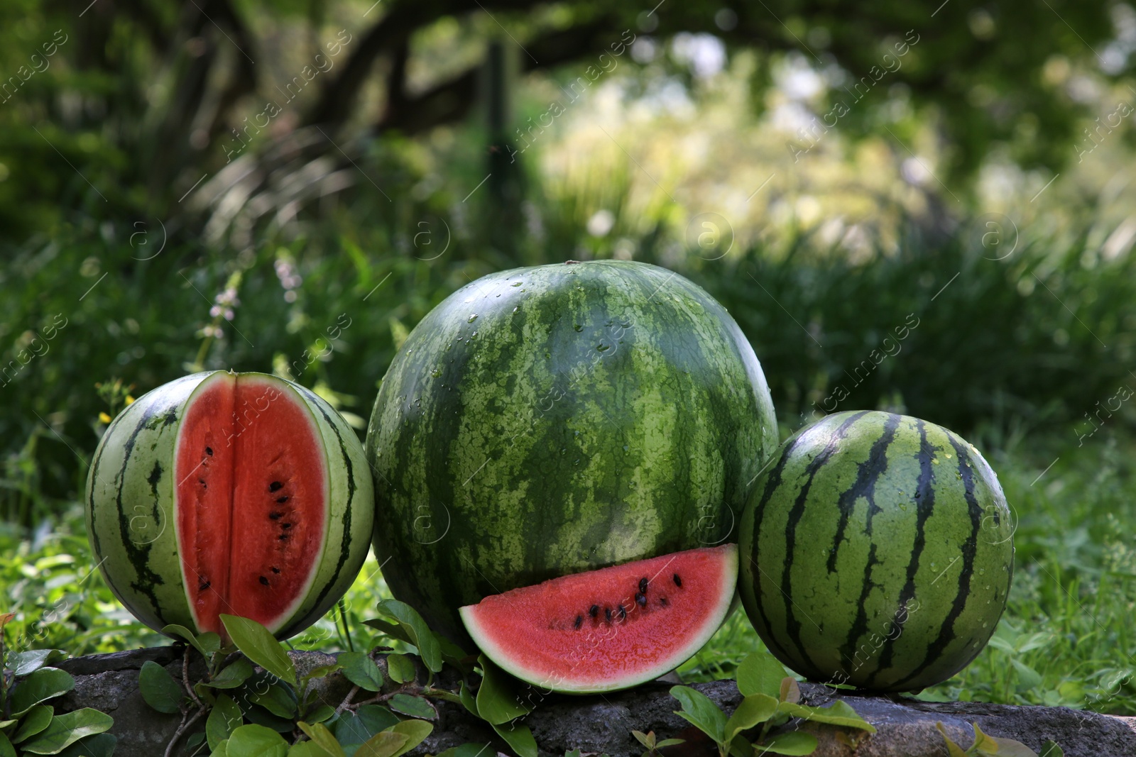 Photo of Different delicious ripe watermelons on stone surface outdoors