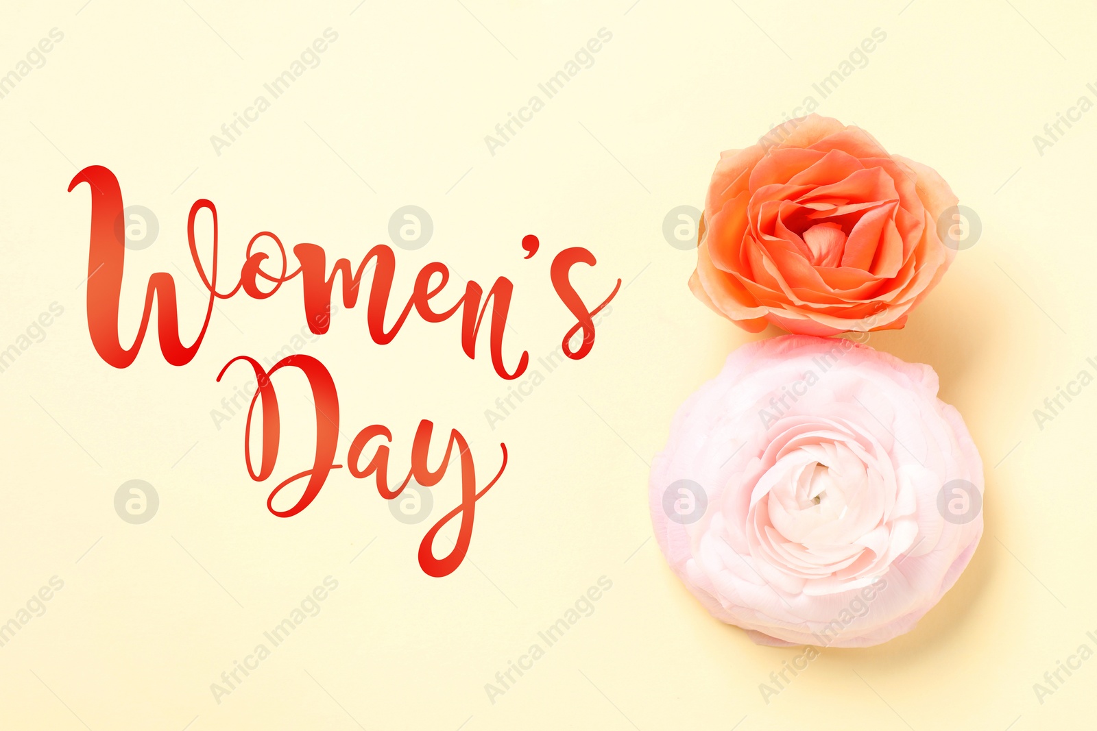 Image of 8 March - Happy International Women's Day. Greeting card design with flowers on beige background, top view