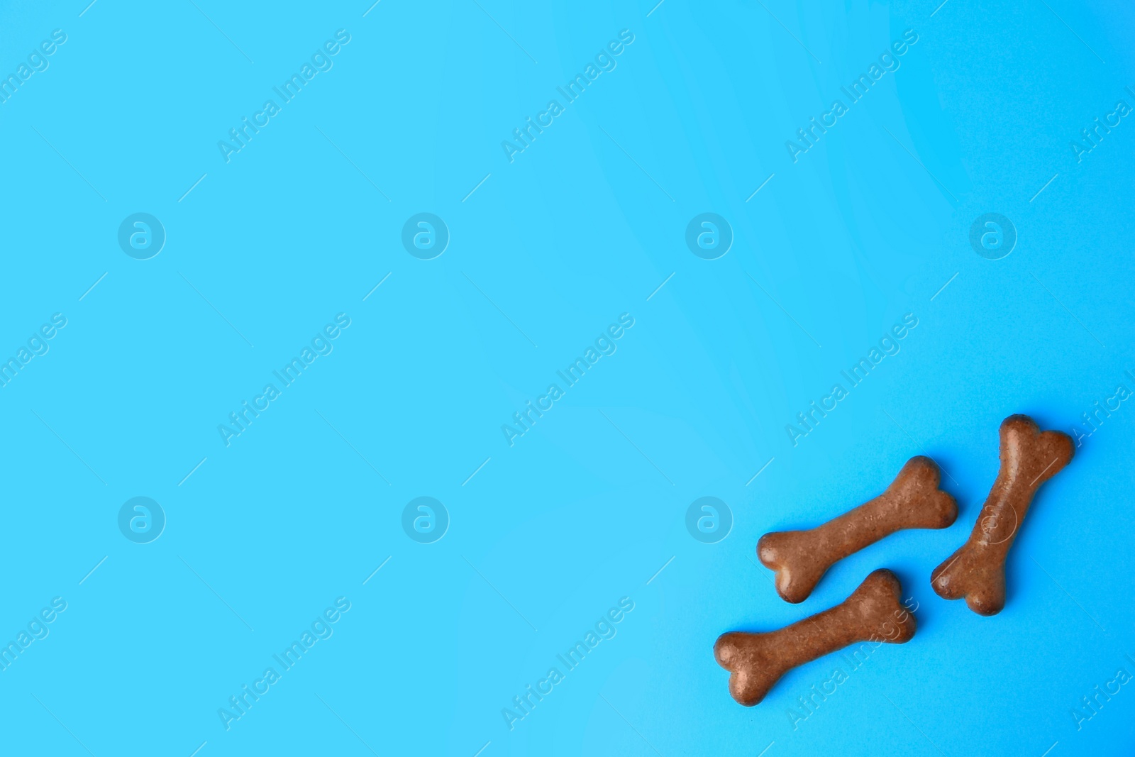 Photo of Bone shaped dog biscuits on light blue background, flat lay. Space for text