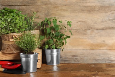Photo of Different aromatic potted herbs, chili peppers and shovel on wooden table. Space for text