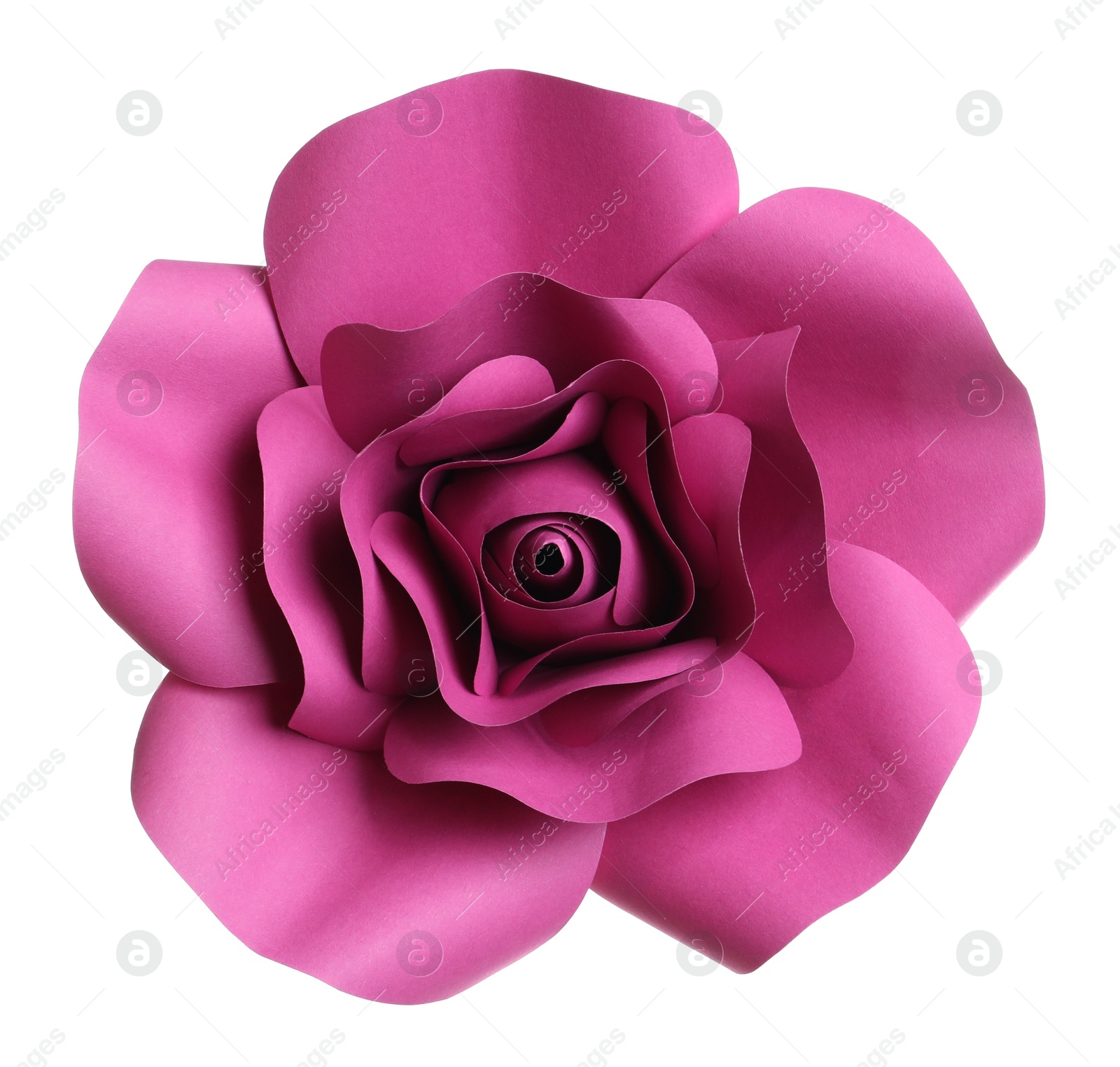 Photo of Beautiful flower made of paper isolated on white