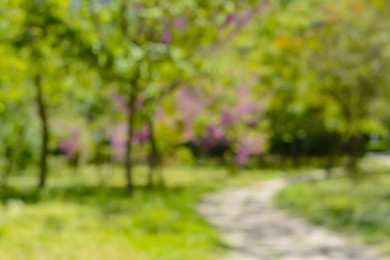 Park with trees and walkway on sunny day, blurred view. Bokeh effect