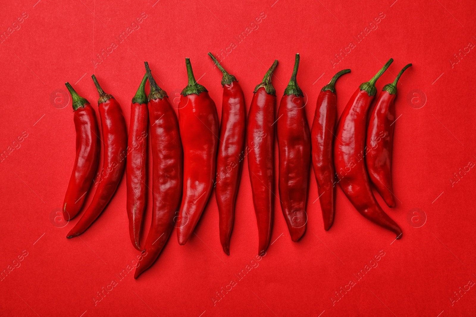 Photo of Flat lay composition with fresh chili peppers on color background