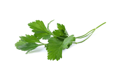 Aromatic fresh green parsley isolated on white