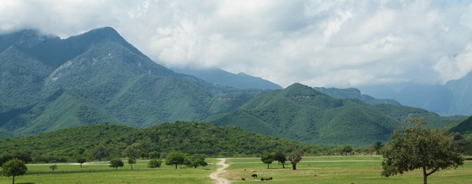 Safari park with animals near picturesque mountains, banner design