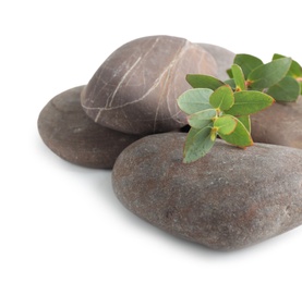 Spa stones with eucalyptus isolated on white