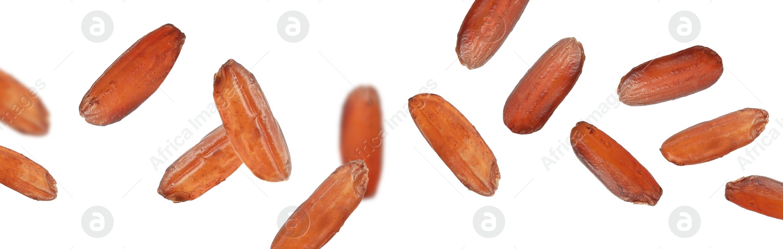 Image of Many brown rice falling on white background, banner design. Vegan diet 