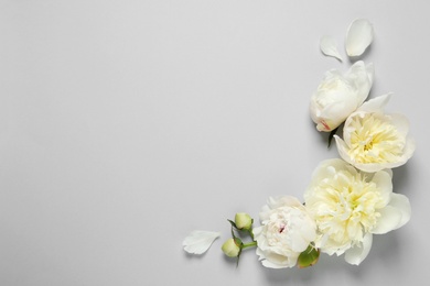 Photo of Beautiful peony flowers on grey background, top view