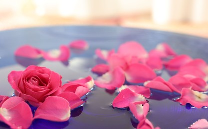 Photo of Pink roses and petals in bowl with water, closeup