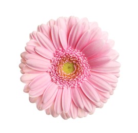 Image of Beautiful pink gerbera flower isolated on white