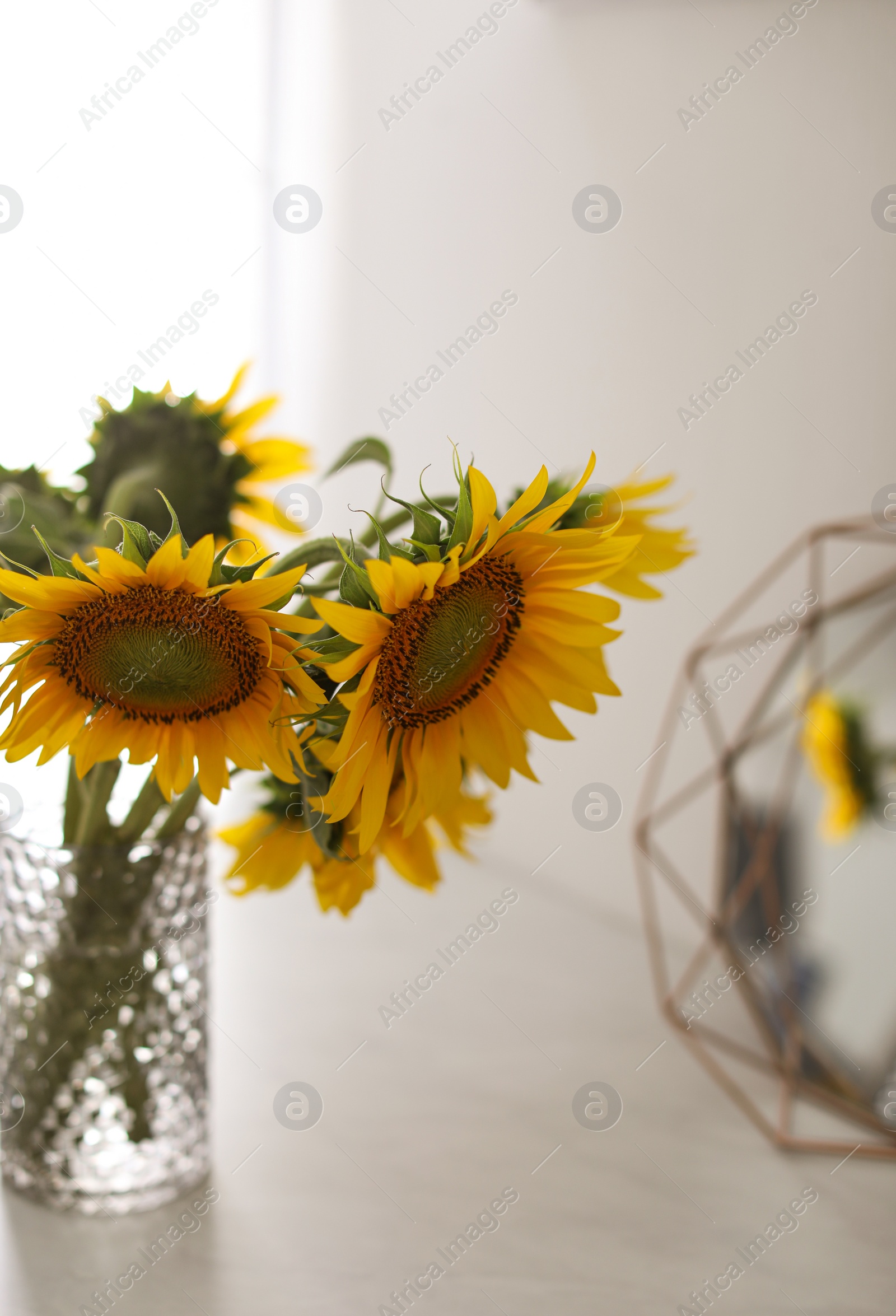 Photo of Vase with beautiful yellow sunflowers on table