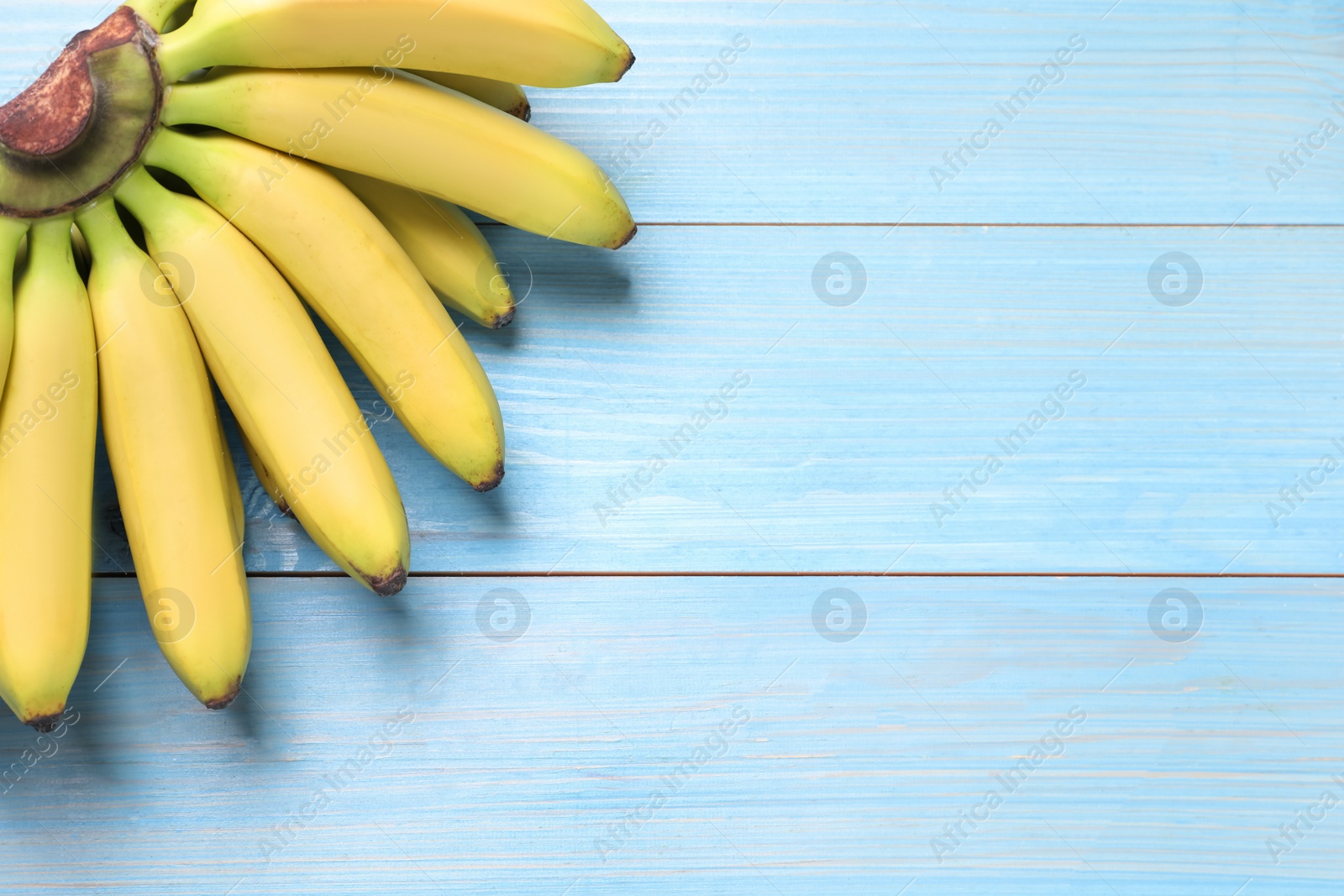 Photo of Bunch of ripe baby bananas on light blue wooden table, top view. Space for text