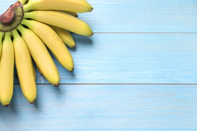 Bunch of ripe baby bananas on light blue wooden table, top view. Space for text