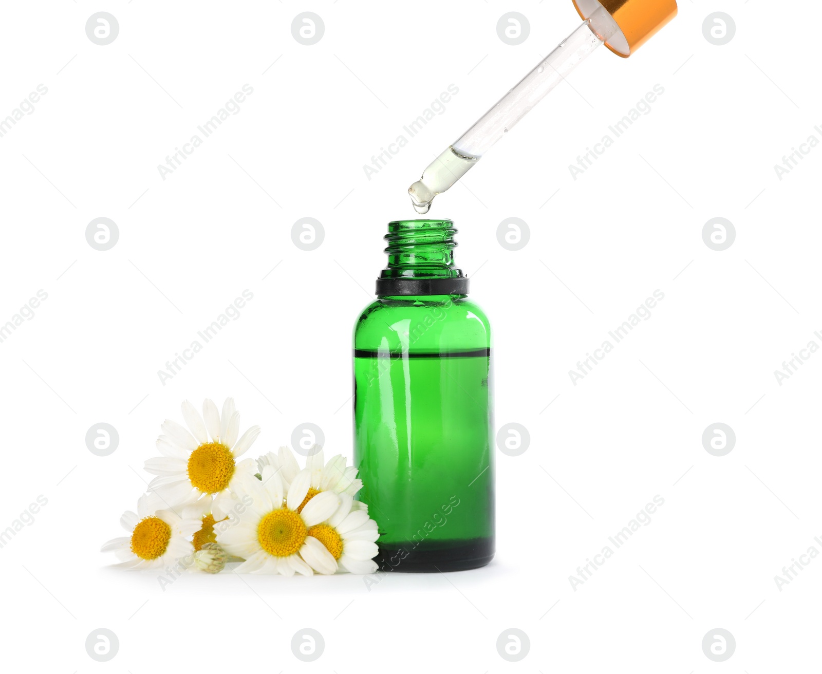 Photo of Dropping essential oil into bottle and chamomile flowers isolated on white