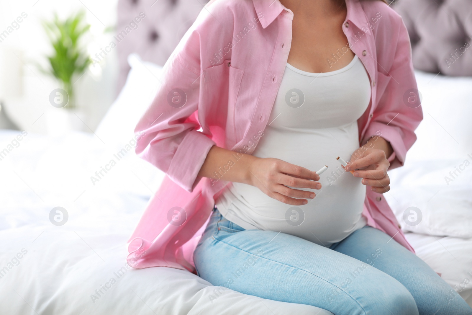 Photo of Young pregnant woman breaking cigarette in bedroom, closeup. Harm to unborn baby