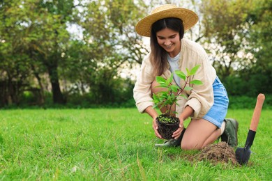 Photo of Young woman planting tree in garden, space for text
