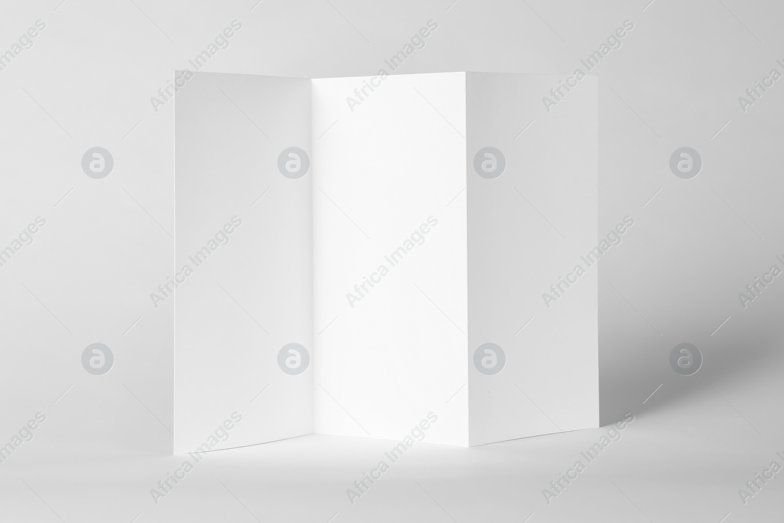 Photo of Blank brochure mock up on color background