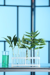 Test tubes with liquid and plants on metal table indoors, toned in blue
