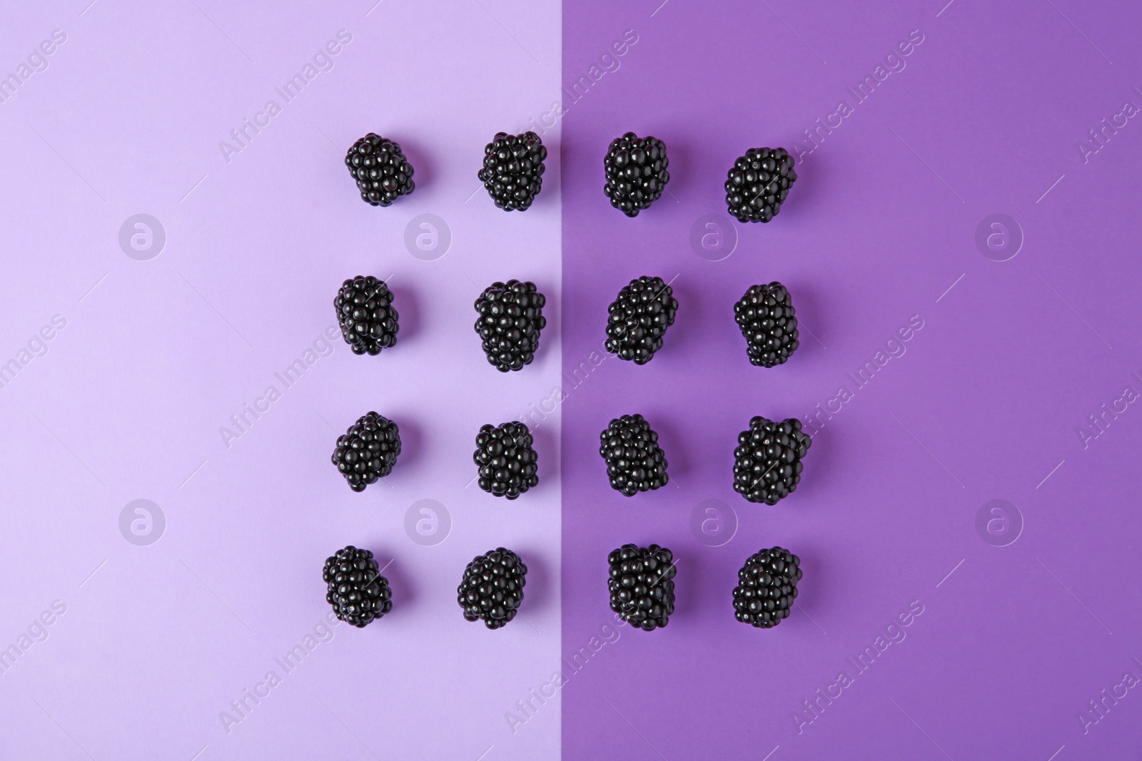 Photo of Tasty ripe blackberries on purple background, flat lay