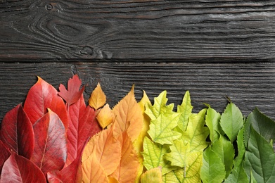 Photo of Flat lay composition with colorful autumn leaves and space for text on wooden background