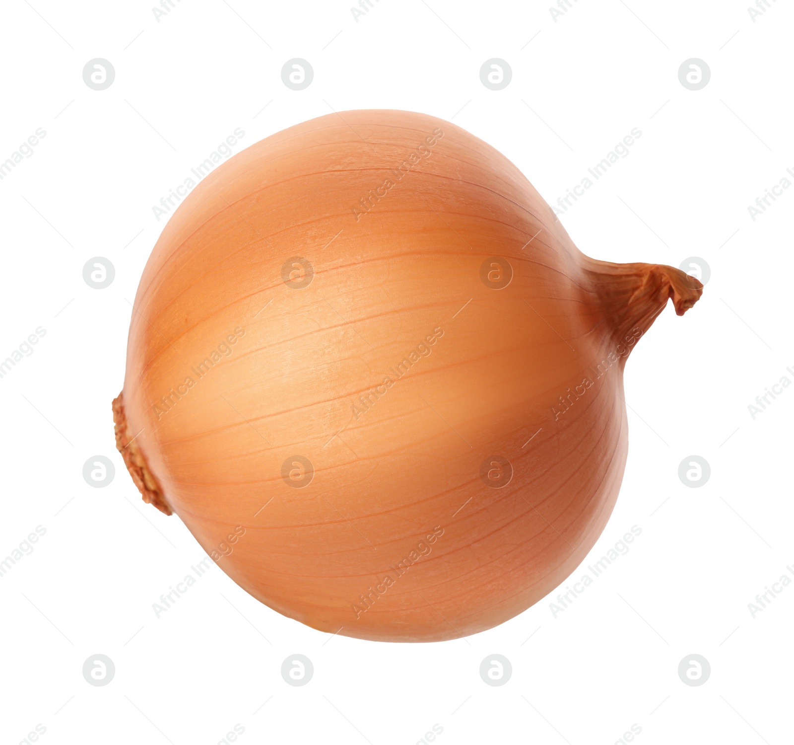 Photo of One ripe onion bulb isolated on white