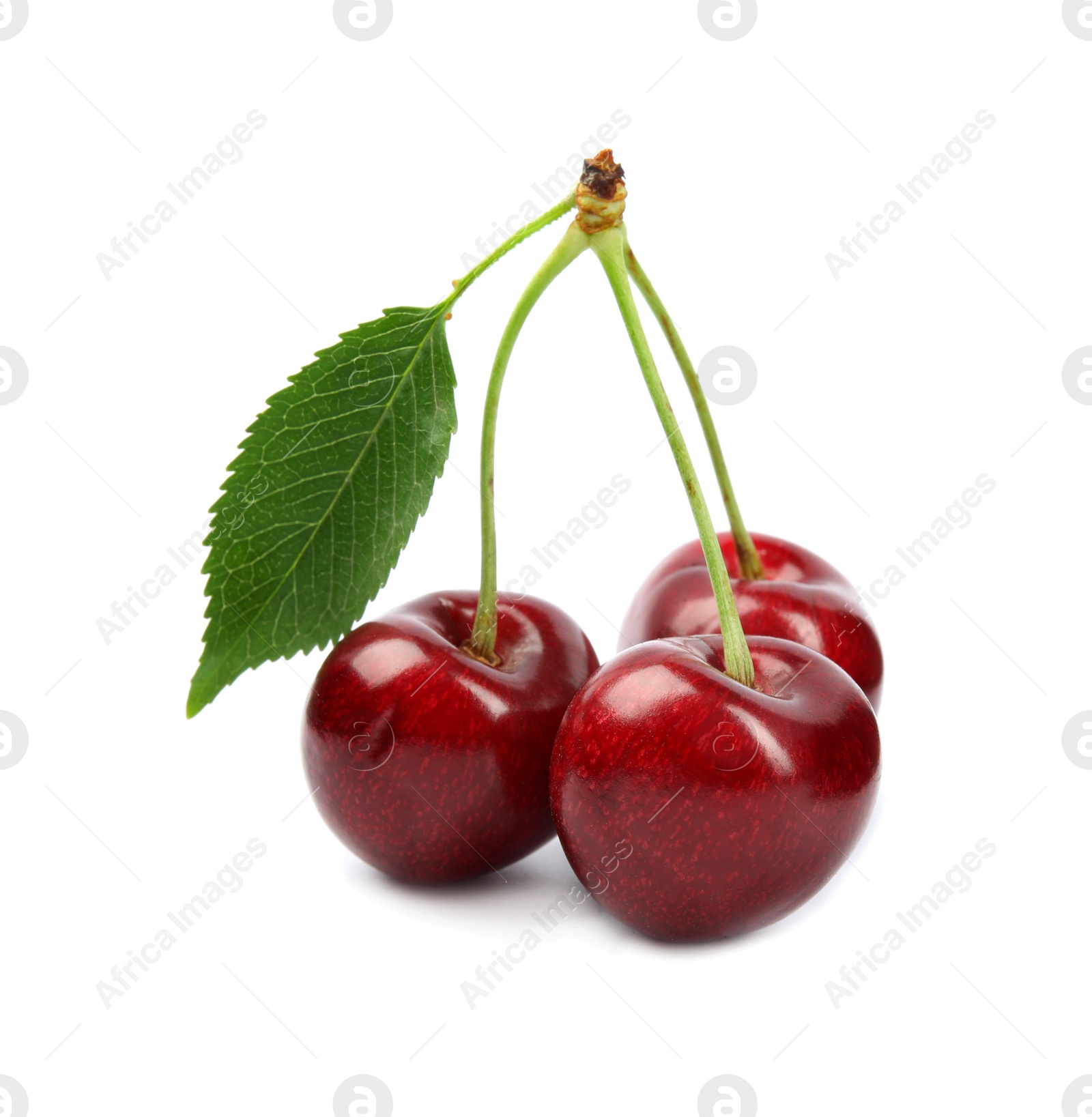 Photo of Delicious ripe sweet cherries on white background